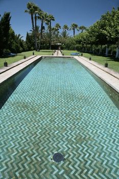 swimming pool arab style with grass and palms