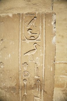 egyptian hieroglyphic writing with birds on a wall