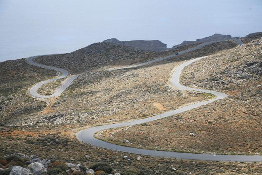 road snake in crete island