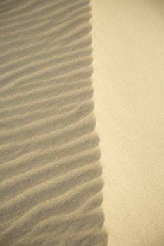 sand at maspalomas natural park in great canary spain