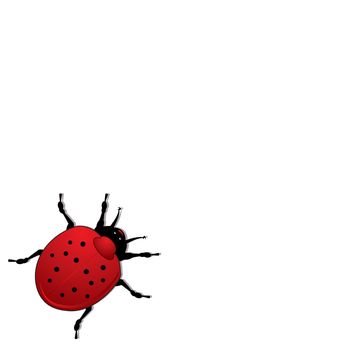 Ladybird illustration or better known in the US as a ladybug