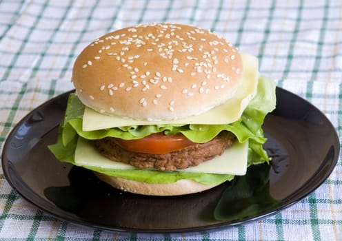 Delicious and fresh cheeseburger with lettuce, tomato and mayo
