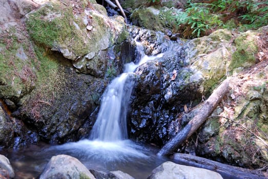 Creek Waterfall Flowing Between Moss Covered Rocks