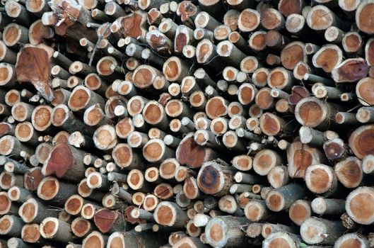 Chopped wood