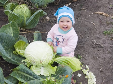 The image of the child sitting at a head of cabbage