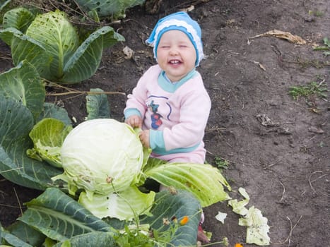 The image of the child sitting at a head of cabbage