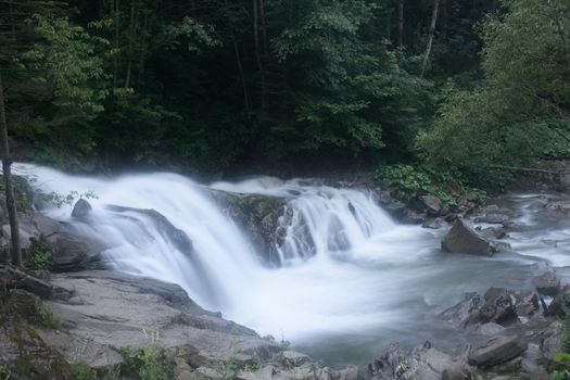 On a photo mountain river stone with moss. Ukraine