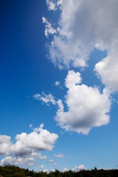 A cloud background with cumulus clouds