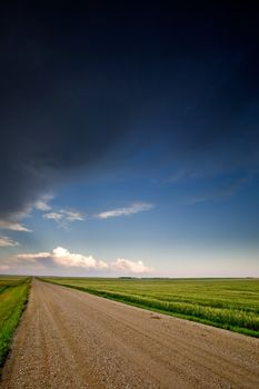 A road on a prairie landscape