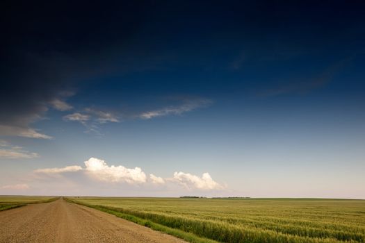 A road on a prairie landscape