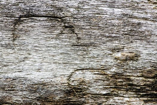 Old weathered drift wood texture