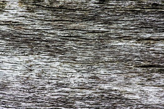 Old weathered drift wood texture