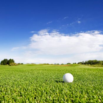A golf ball on a fairway on a golf couse