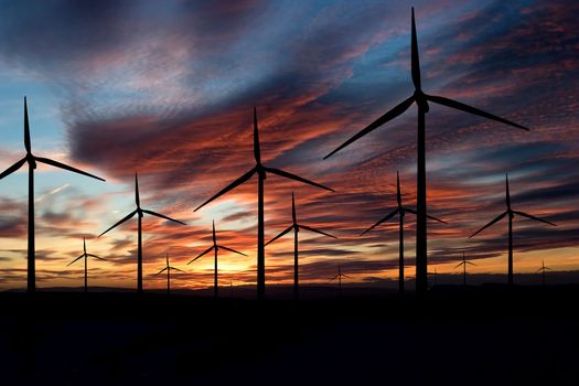 Wind power landscape at sunset on a flat horizon