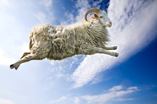 A flying sheep through a beautiful blue sky