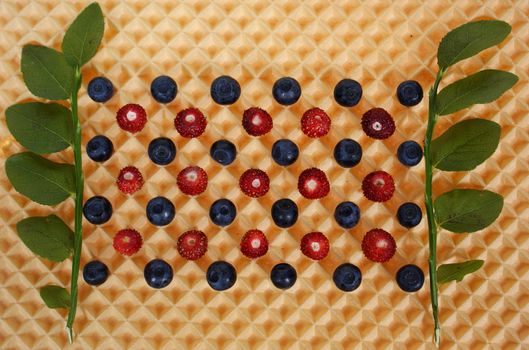 forest fruits on wafer as background
