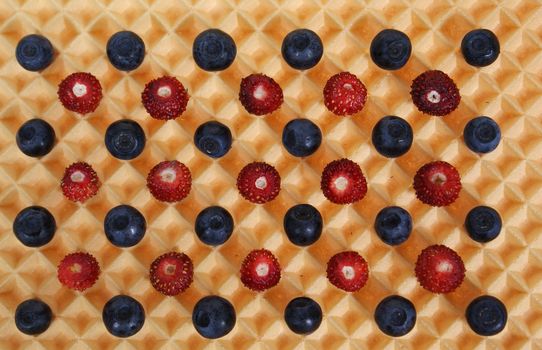 forest fruits on wafer as background