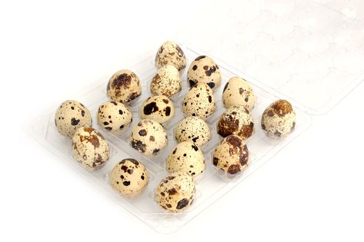closeup of pack of quail eggs