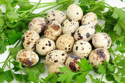 closeup of set of quail eggs