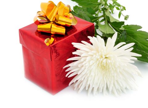 gift in box and white chrysanthemum