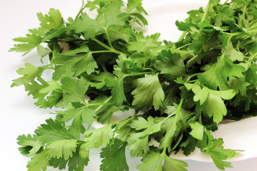 parsley on plate