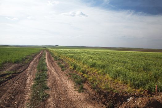 agriculture road at a field in la mancha spain