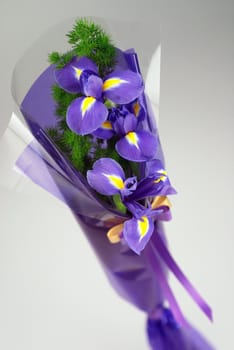 Details of beautiful bouquet of purple flowers, isolated on white background.