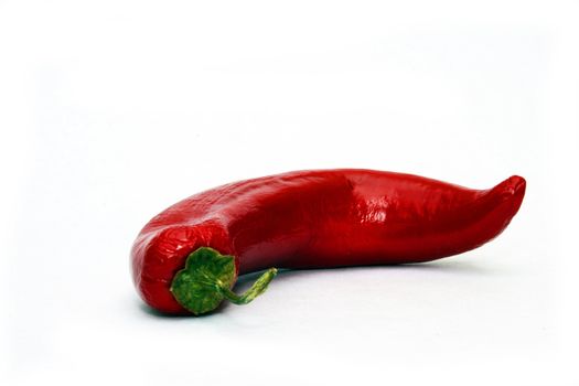 Single red chili pepper on white background