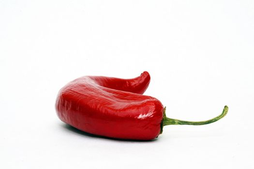 Single red chili pepper on white background