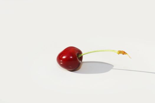 Single cherry against white background with shadow