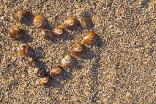 Tiny sea shells on sand in form of heart