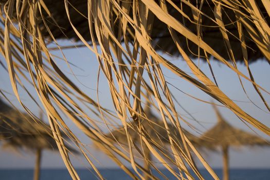 Close-up of hanging edge of thatched umbrellas on beach