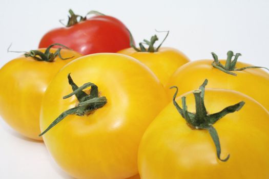 Close-up of yellow and red tomatoes on diagonal