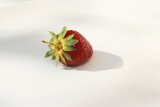 Single strawberry against white background