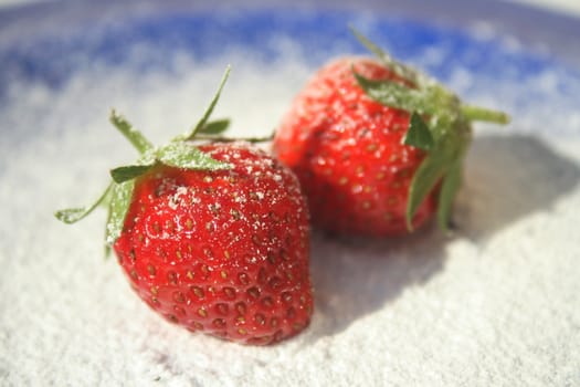 Two ripe red strawberries on blue plate with powered sugar sprinkled on them