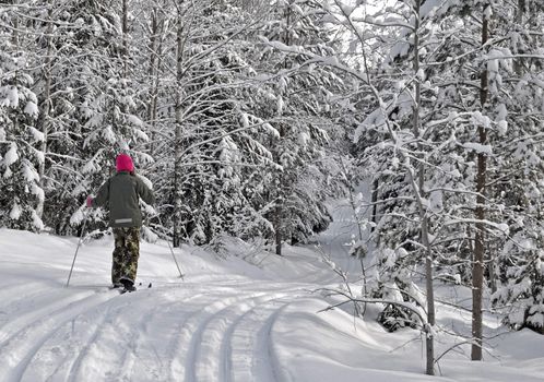 A young girl skiing through the forest in Sweden.