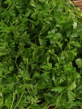 background from the stems of parsley