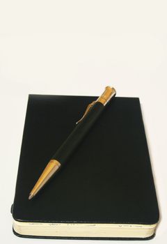 Ballpoint pen on rectangular leather notepad