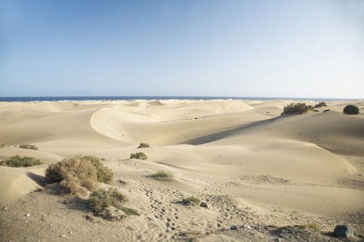 big dunes at maspalomas natural park in great canary spain