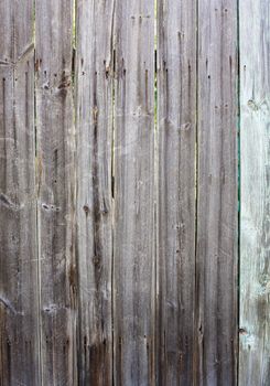 High old wooden fence round a kitchen garden