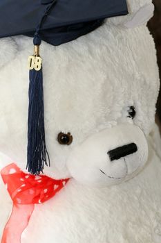 Fluffy white teddy bear with blue graduation cap and tassle