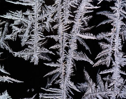 Detail (close-up) of the frost flower on the window