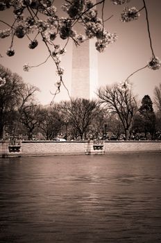Scenic view of Washington Monument with Lincoln Memorial Reflecting Pool in foreground, Washington, D.C, U.S.A.
