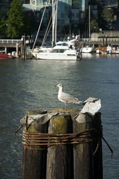 Vancouver, British Columbia 