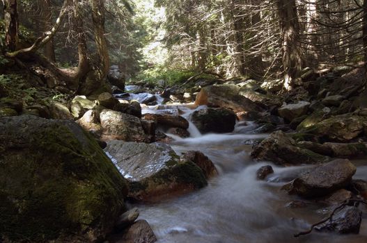 Shot of the cataracts. River valley of stream Bila Opava - natural area - nature preserve. Mountainous district Jesenik, Czech republic, Europe.