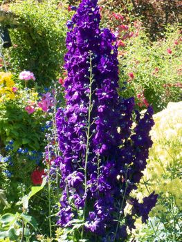 Butchart Garden in Victoria, British Columbia