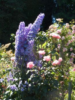 Butchart Garden in Victoria, British Columbia