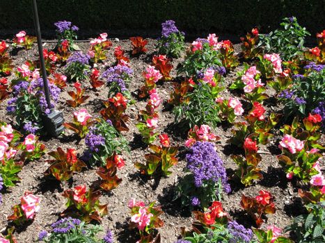 Butchart Garden in Victoria, British Columbia