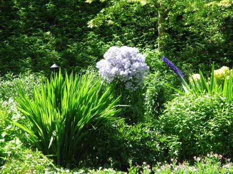 Butchart Garden in Victoria, British Columbia