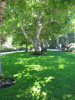 Butchart Garden in Victoria, British Columbia